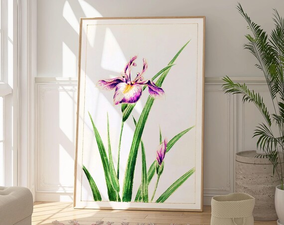 Purple Japanese Iris Flower Watercolor Botanical Elegant Floral Wall Art