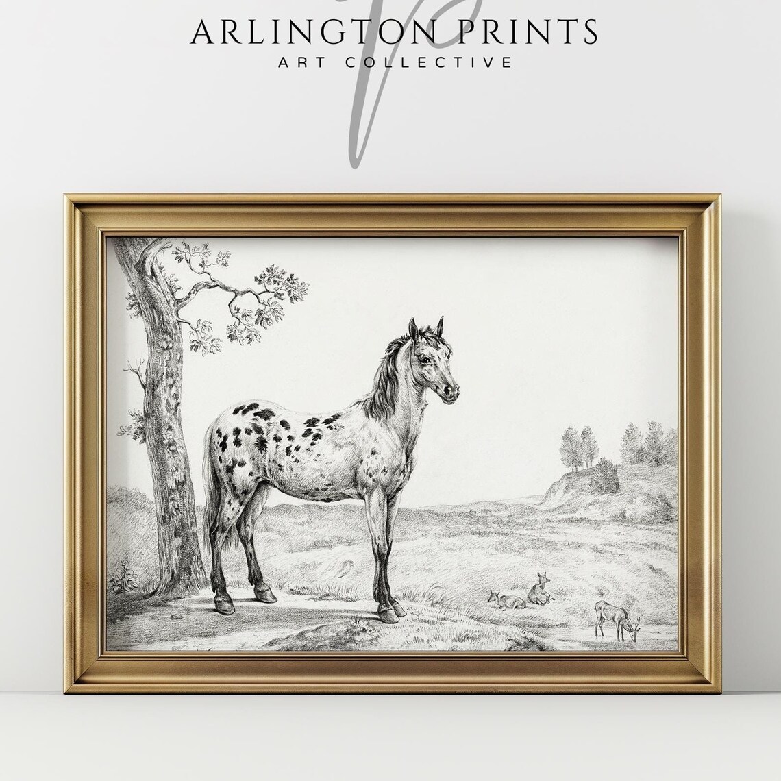 Vintage Engraving of a Spotted Horse Standing in a Pasture Print