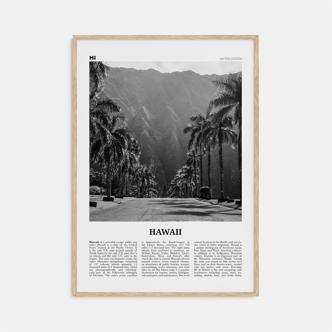 Hawaii Black And White No. 2 Travel Poster