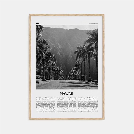Hawaii Black And White No. 2 Travel Poster