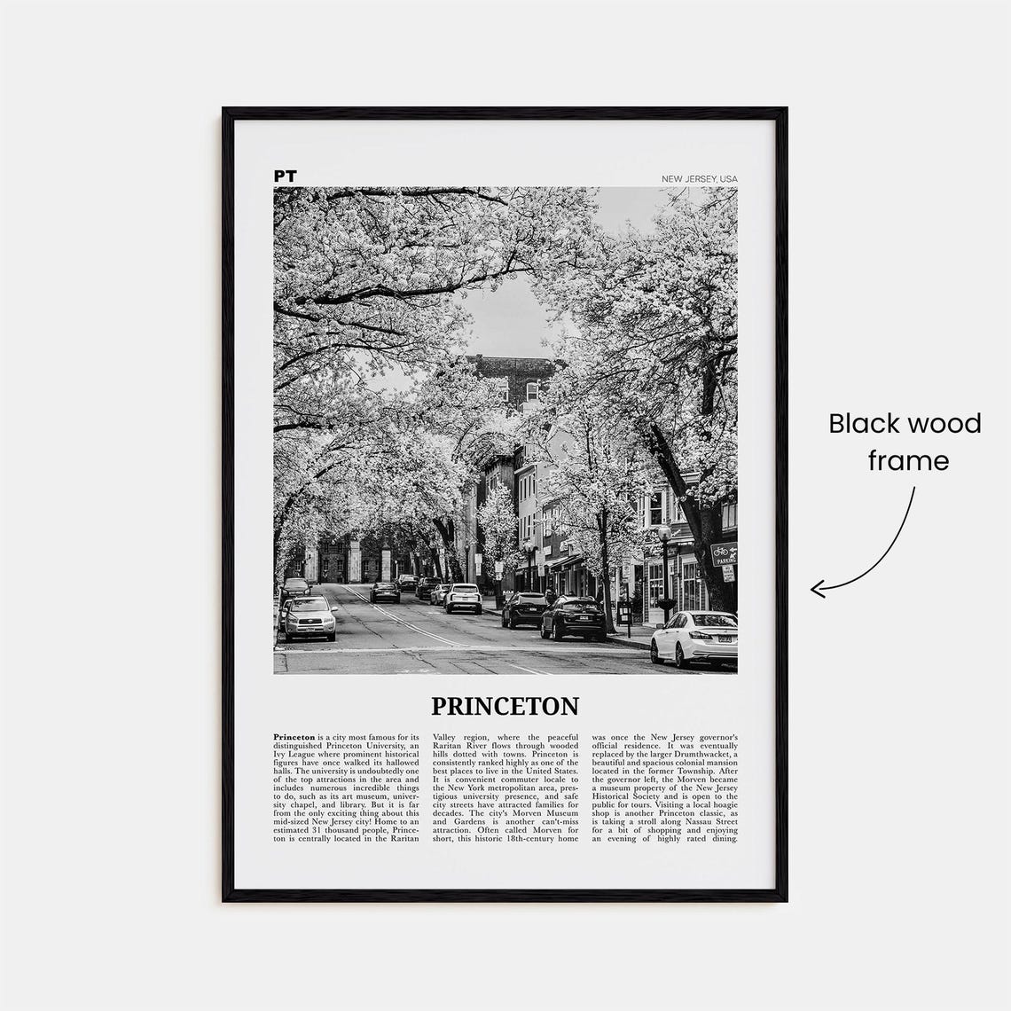 Princeton Black and White Travel Poster, New Jersey - Image 3