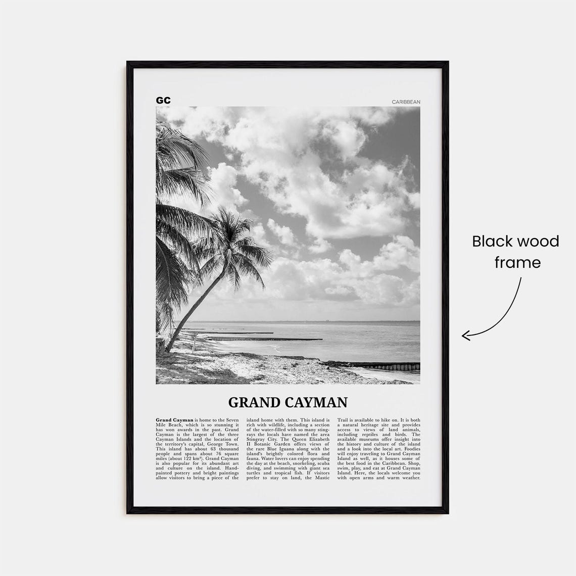 Grand Cayman Black and White Travel Poster, Caribbean - Image 3