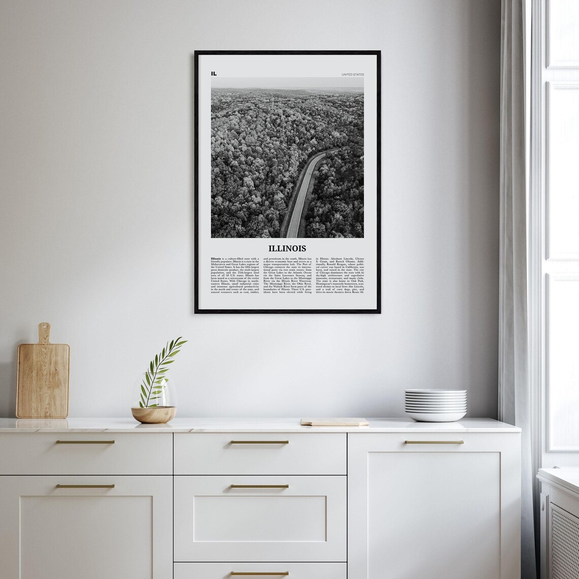 Illinois No. 2 Black and White Map Art Poster - Image 2