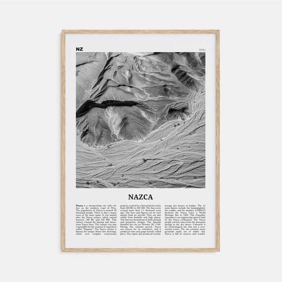Nazca Desert Aerial Terrain Patterns Peru Black and White Poster