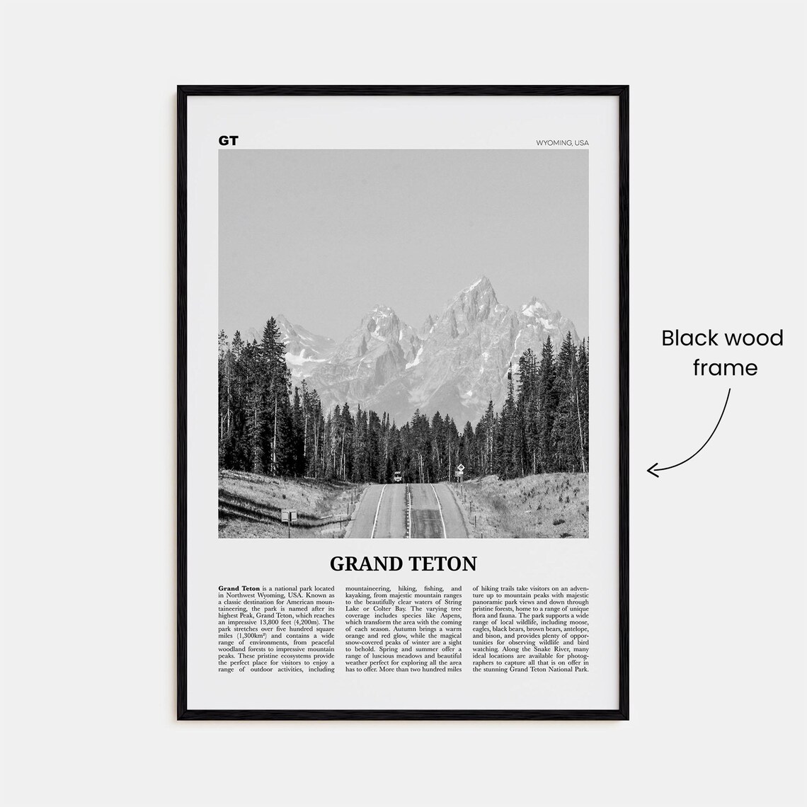 Grand Teton National Park Black and White Travel Poster - Image 3