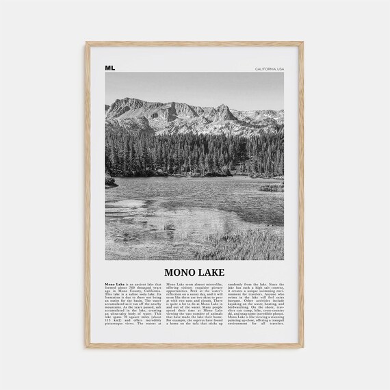 Mono Lake Travel Poster, California Map Art Print