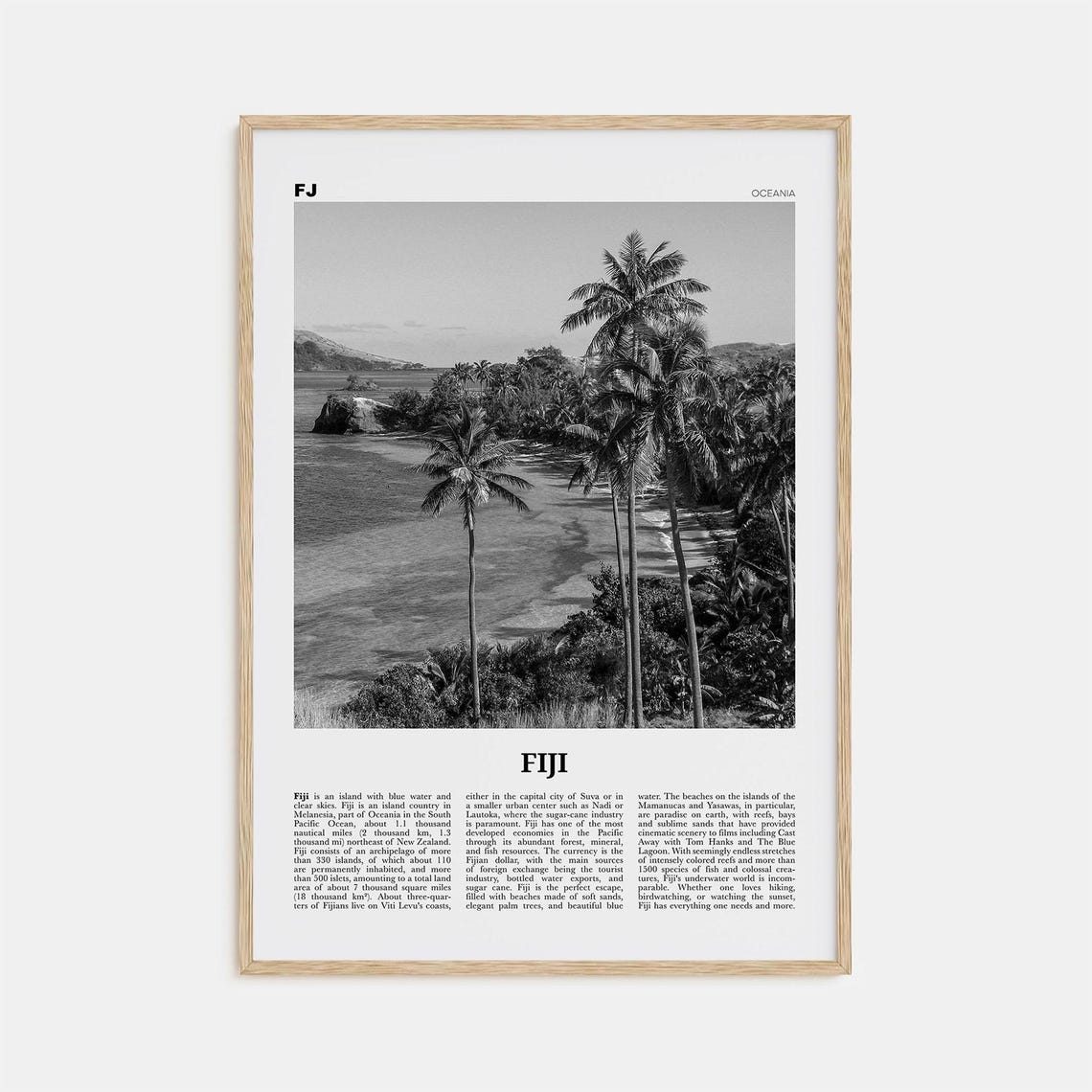 Fiji Black and White Travel Poster, Suva