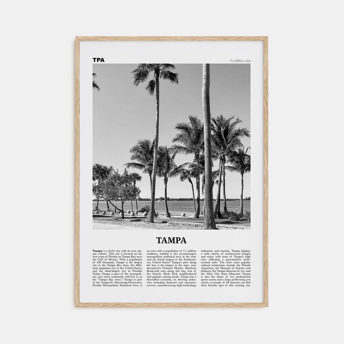 Tampa Black and White No. 3 Florida Travel Poster