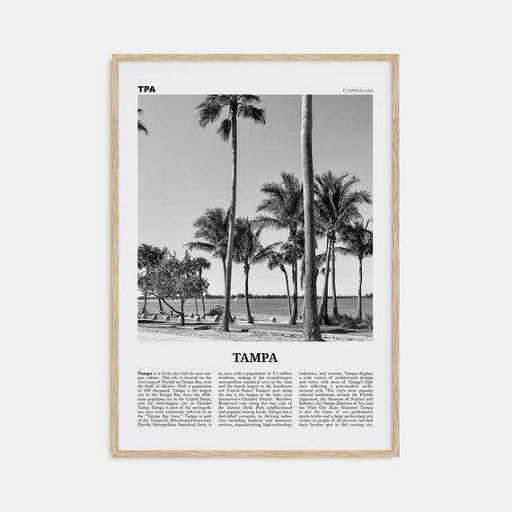Tampa Black and White No. 3 Florida Travel Poster