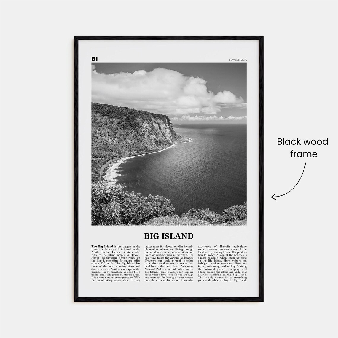 Big Island Black-and-White Travel Poster, Hawaii Map - Image 3