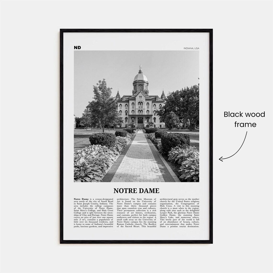 Notre Dame Black And White Indiana Poster Print - Image 3