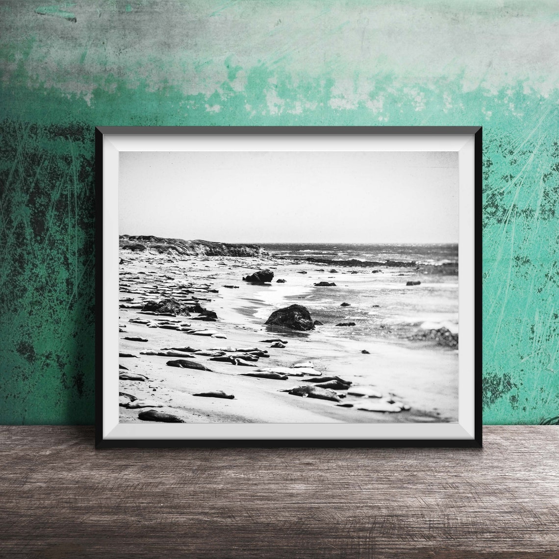 California Sea Lion Beach San Simeon Pacific Coast Photo Poster - Image 2