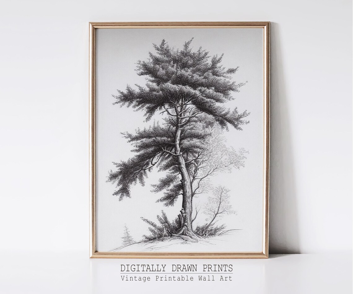 Neutral Tree Sketch, Vintage Minimalist Tree Drawing