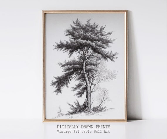 Neutral Tree Sketch, Vintage Minimalist Tree Drawing