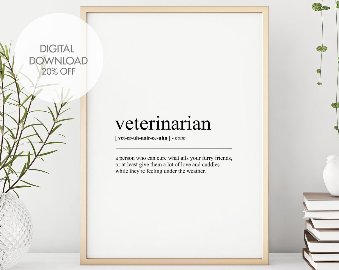 Veterinarian Funny Definition Dictionary Art Vet Gift Wall Poster
