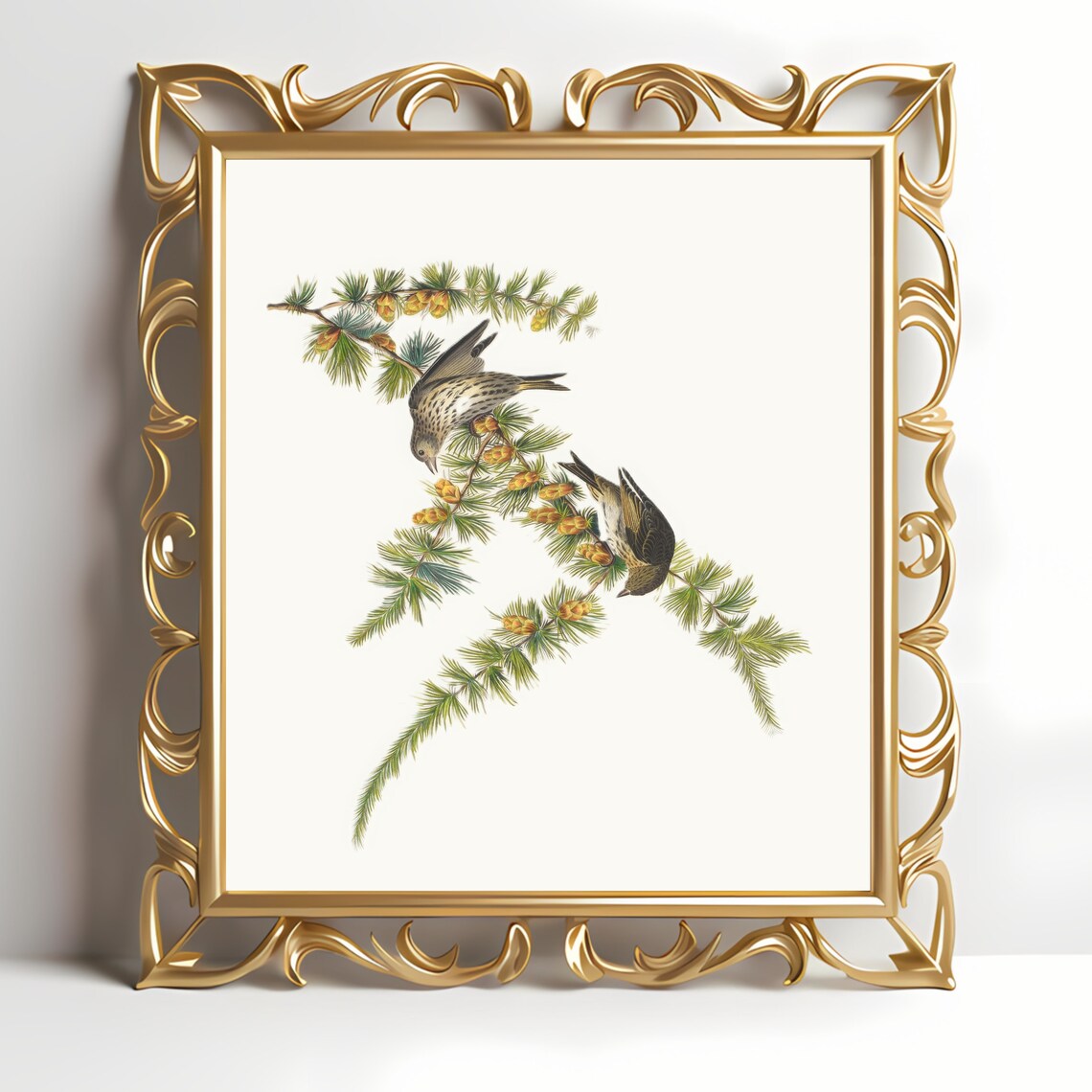 Vintage Finch Birds Larch Branch Antique Botanical Illustration Poster - Image 3