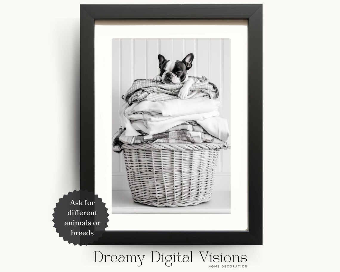 Boston Terrier Laundry Room Art Print, Black White