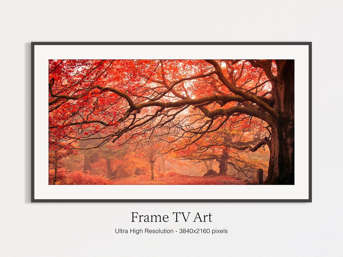 Autumn Landscape Bokeh, Fall Landscape Art Print - Image 4