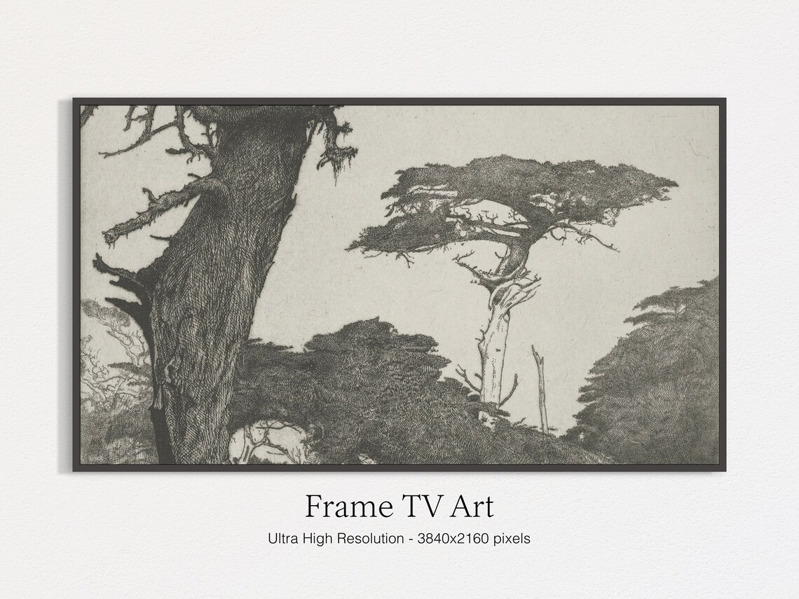 Windswept Cypress Trees Monochrome Engraving Vintage Nature Art Print