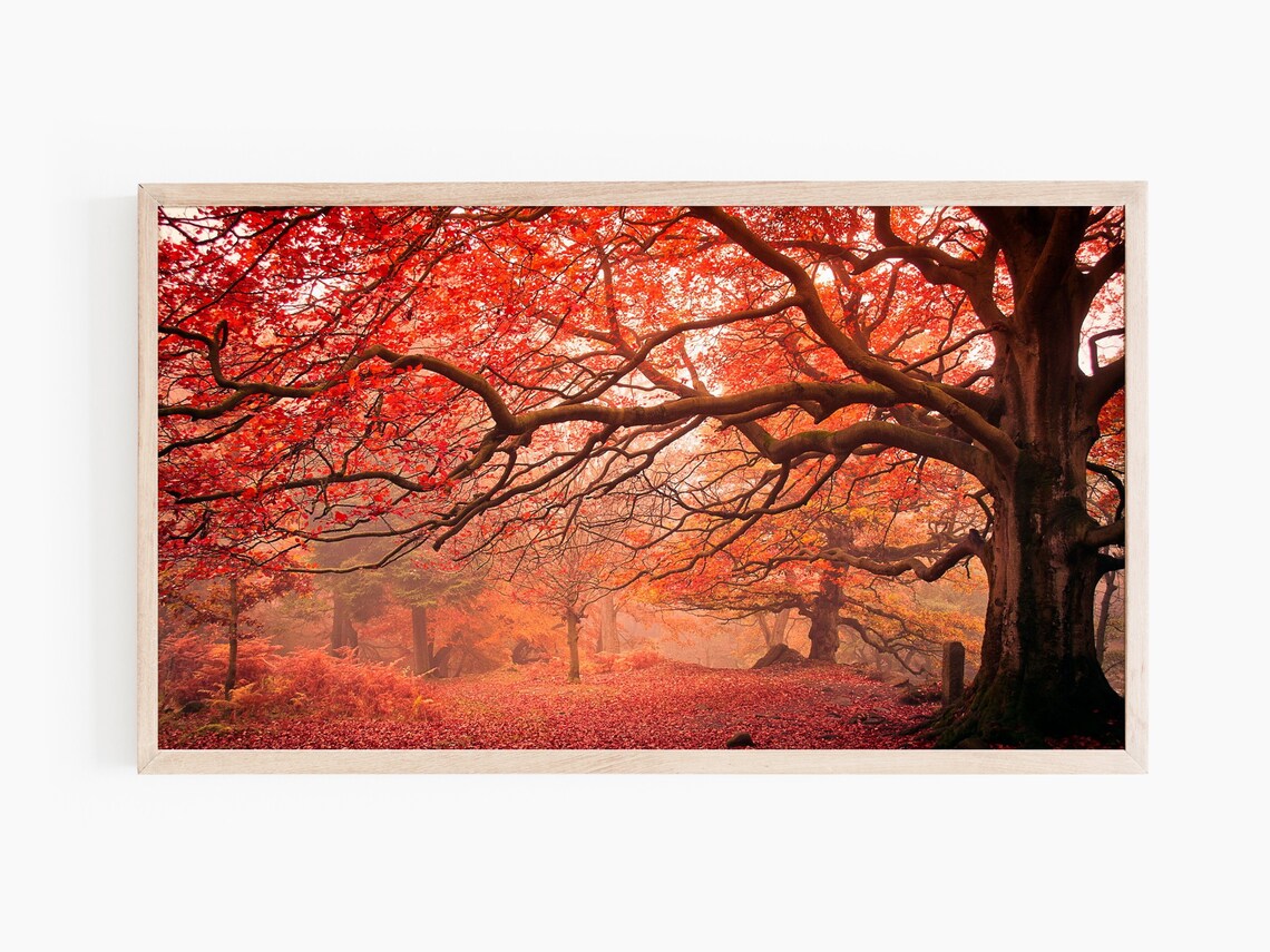 Autumn Landscape Bokeh, Fall Landscape Art Print - Image 2