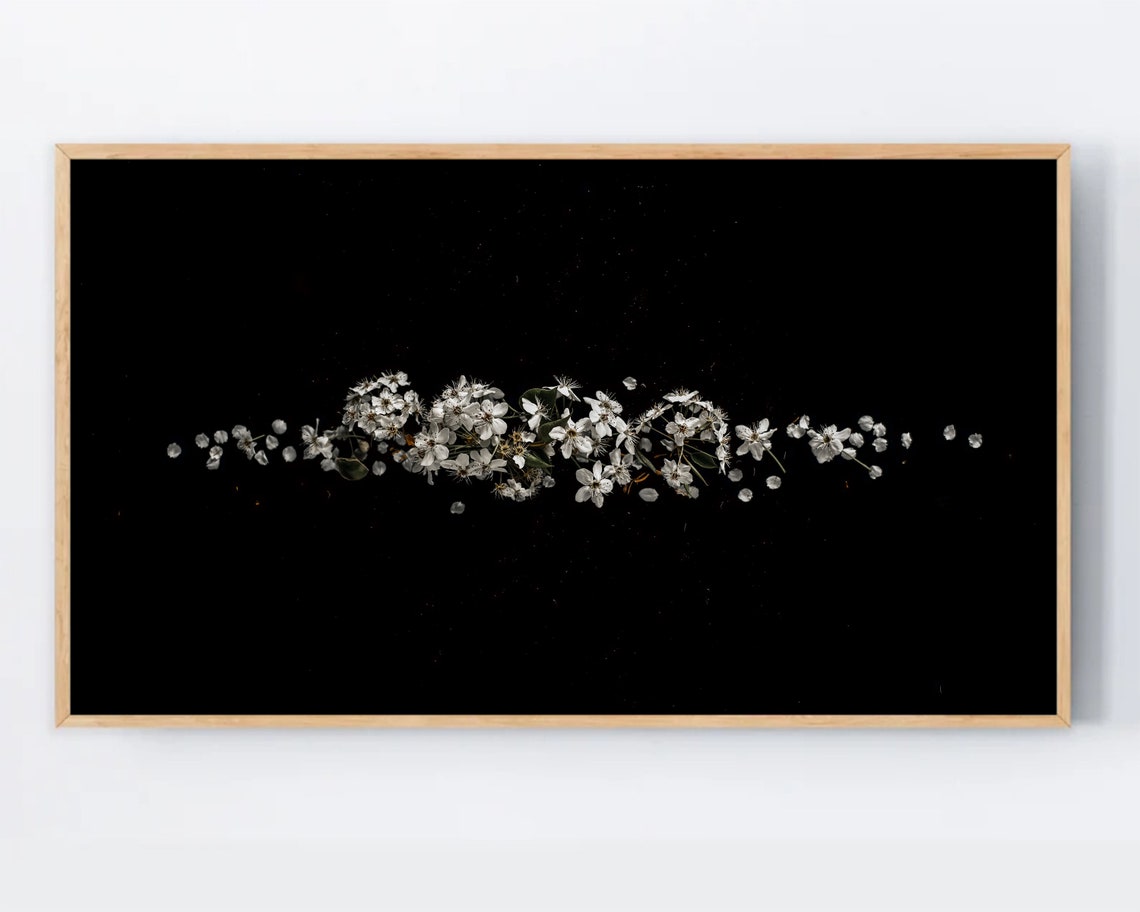 White Blossoms On Black Background Dark Academia Floral Photography Poster