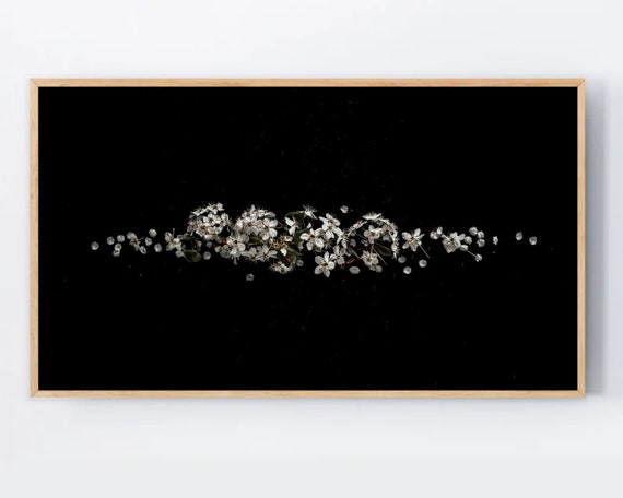 Floral Samsung Frame Tv Art Black White Flowers Photography For The Dark Academia Decor Small