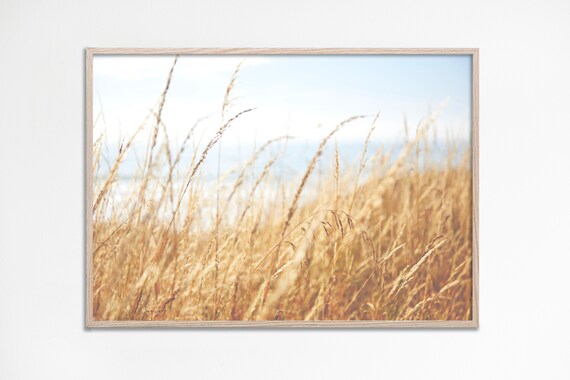 Golden Beach Grass Coastal Pampas Neutral Seaside Photography Art Poster