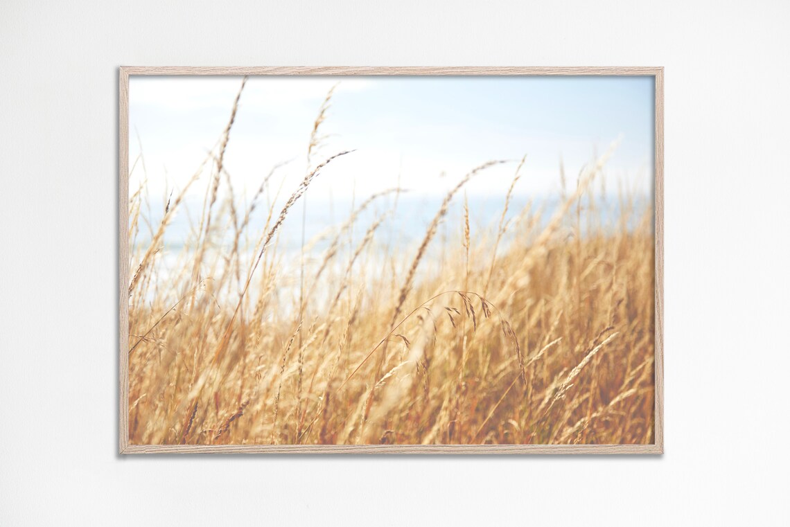 Golden Beach Grass Coastal Pampas Neutral Seaside Photography Art Poster