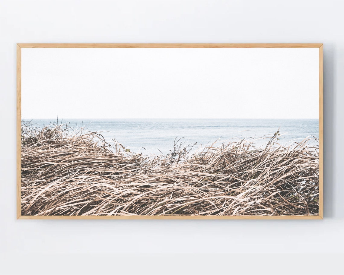 Windblown Beach Dune Grass Ocean Coastal Minimalist Photo Art Poster
