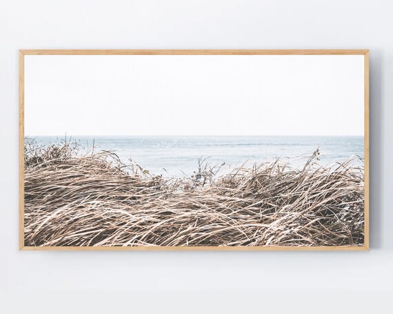 Windblown Beach Dune Grass Ocean Coastal Minimalist Photo Art Poster