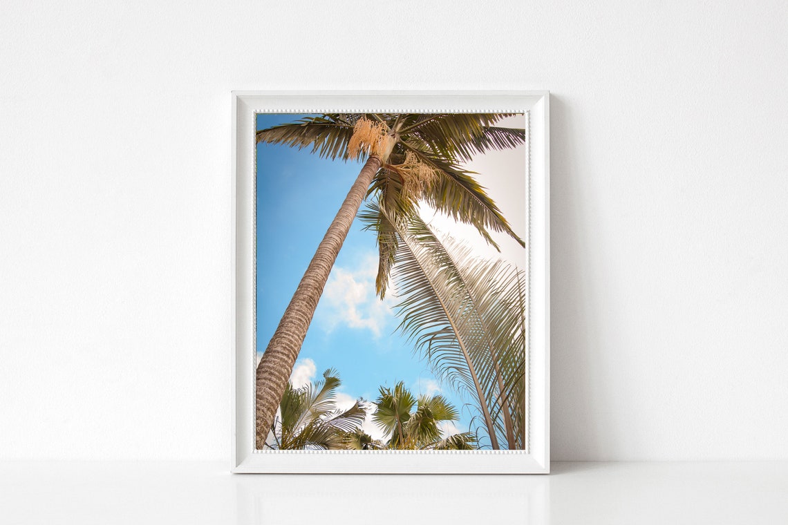 Tall Palm Tree Against Blue Sky Tropical Photography Art Poster - Image 2