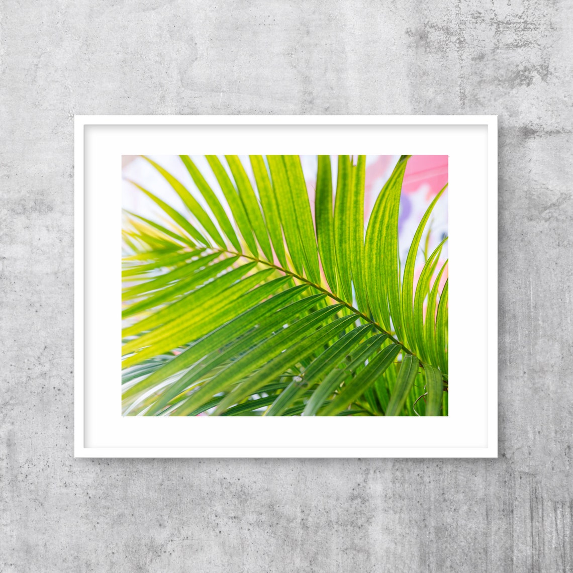 Green Palm Frond Close Up With Soft Pink Background Photo Poster - Image 3