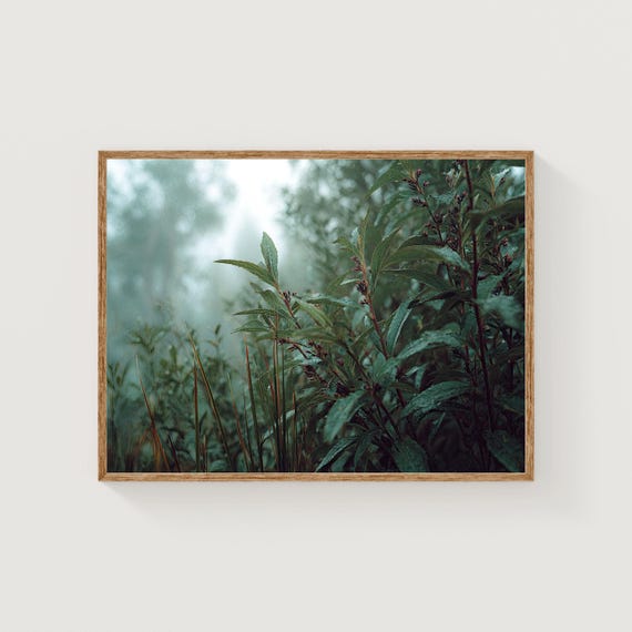 Foggy Forest Print Fine Art Film Photography Botanical Wall Decor