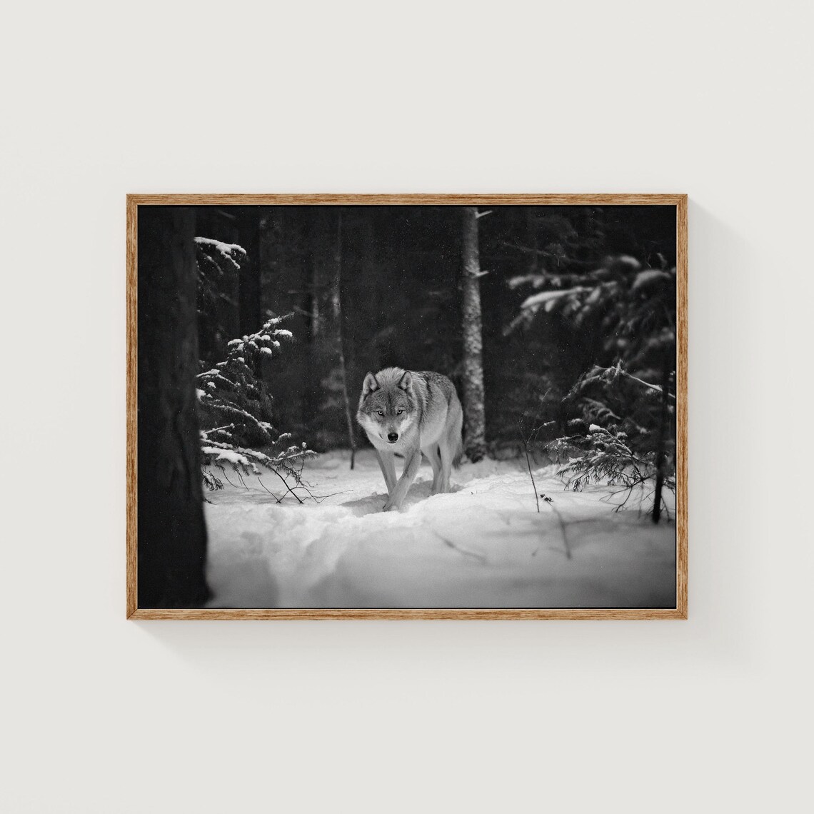 Wolf In Winter Forest Black And White Wildlife Photography Print
