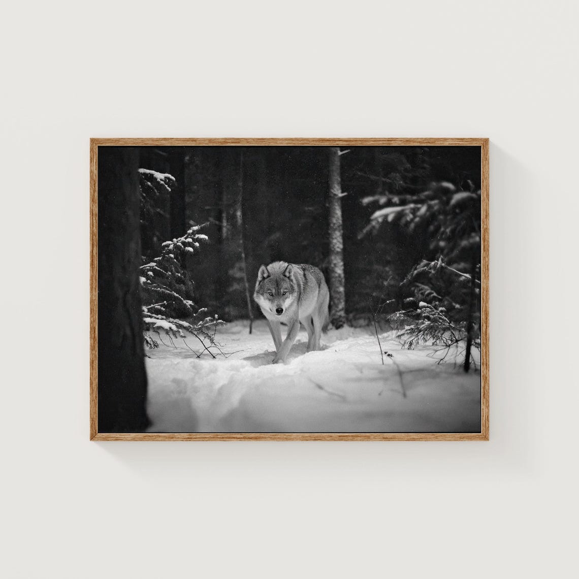 Wolf Walking Through Snowy Forest Black and White Photo Print