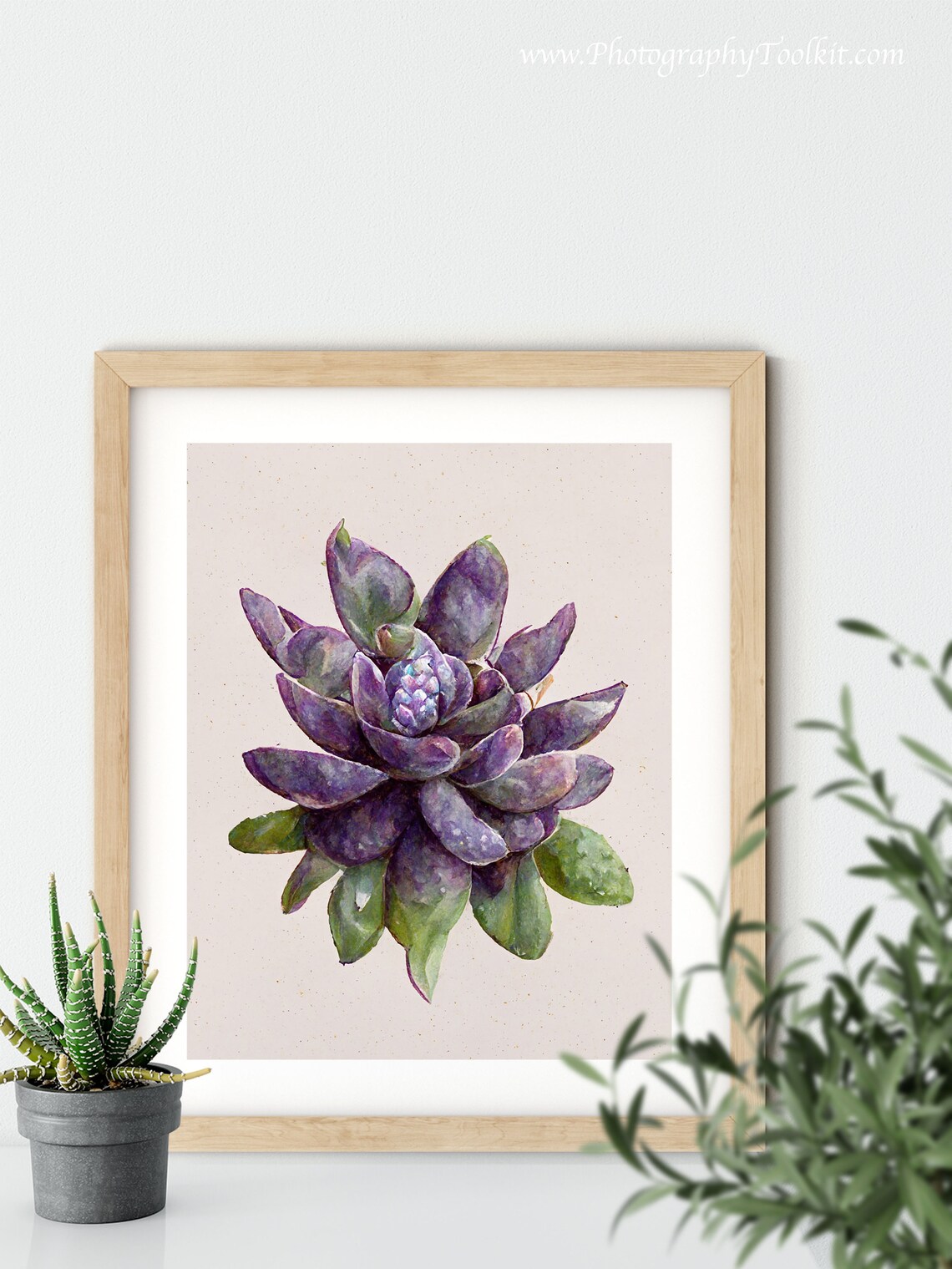Purple Succulent Plant Watercolor Botanical Illustration Art Poster - Image 5