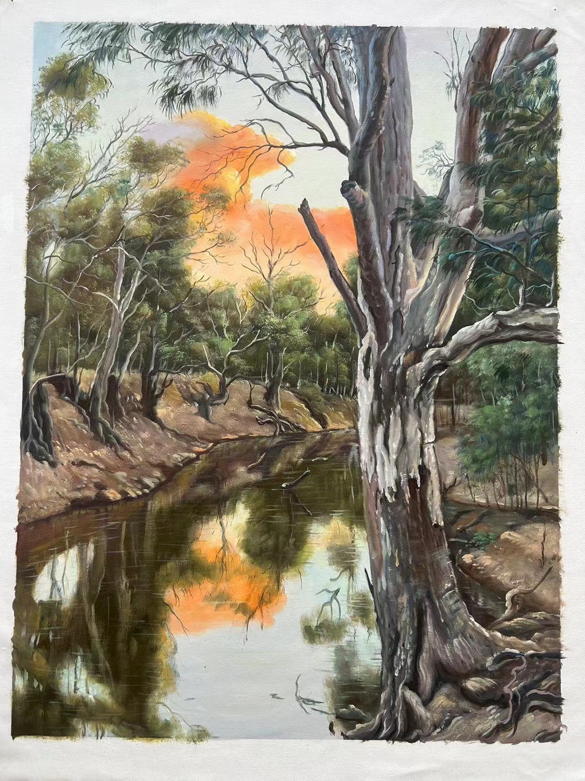 Eucalyptus Trees Creek Sunset Water Reflection Nature Poster - Image 4