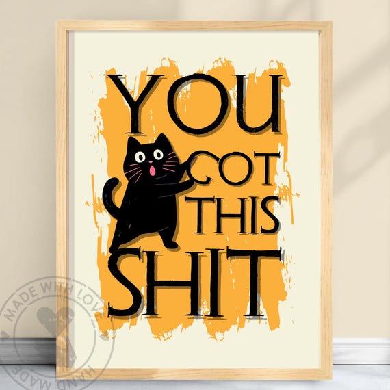 You Got This Shit Poster Positive Quote Print For Dorm Room Empowerment Funny Cat Artwork Decor Ygts