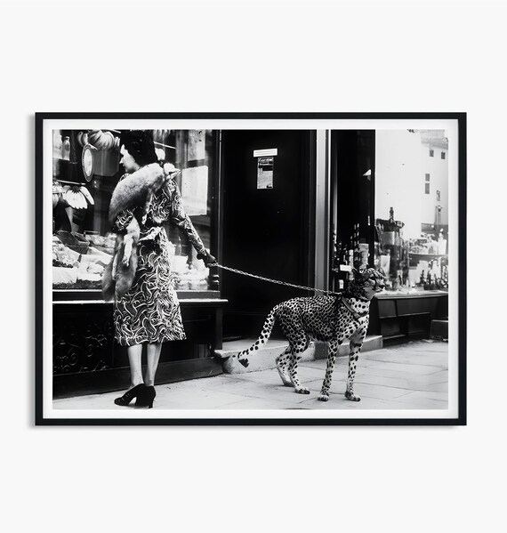 A Stylish Woman Walking Cheetah on Leash Vintage Photo Poster