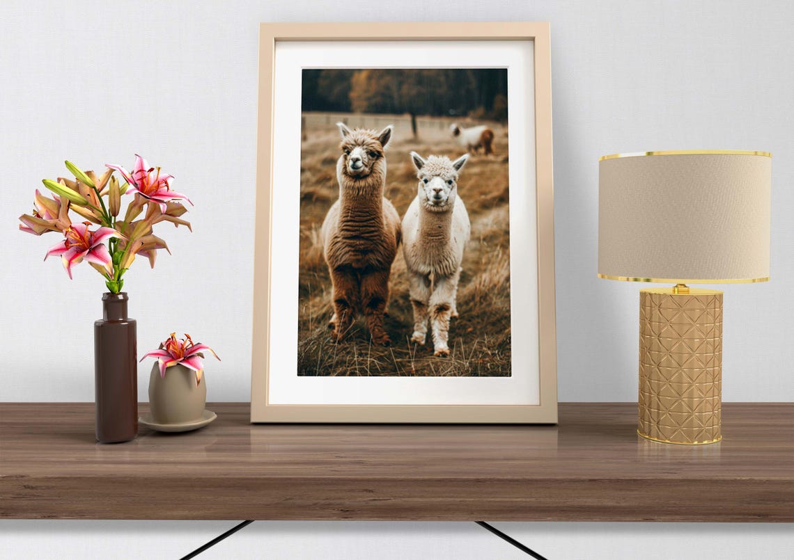 Alpaca Pair on a Golden Autumn Pasture Photographic Art Poster - Image 2