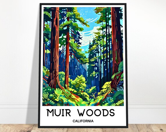 Muir Woods Travel Print Poster Art Lover Gift Wall Hanging National Park Illustration