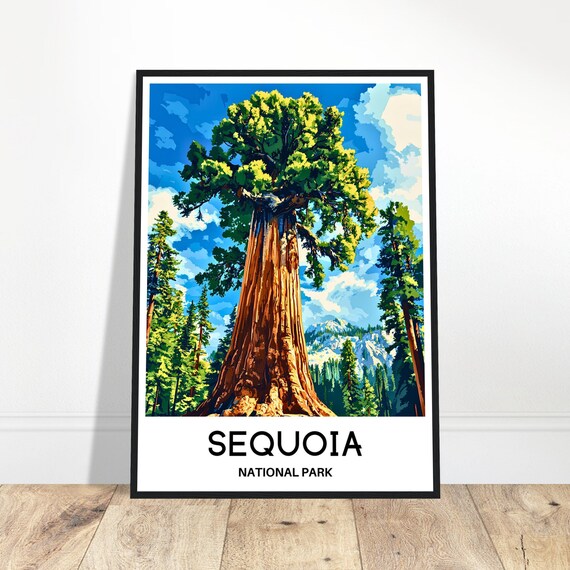 Sequoia National Park Travel Print Poster Art Lover Gift Wall Hanging Home Decor Illustration