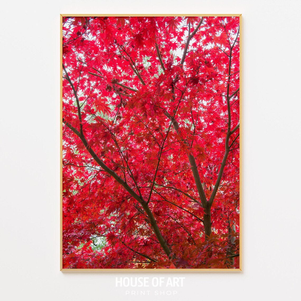 Red Autumn Maple Leaves Canopy Fall Photography Nature Art Poster - Image 3