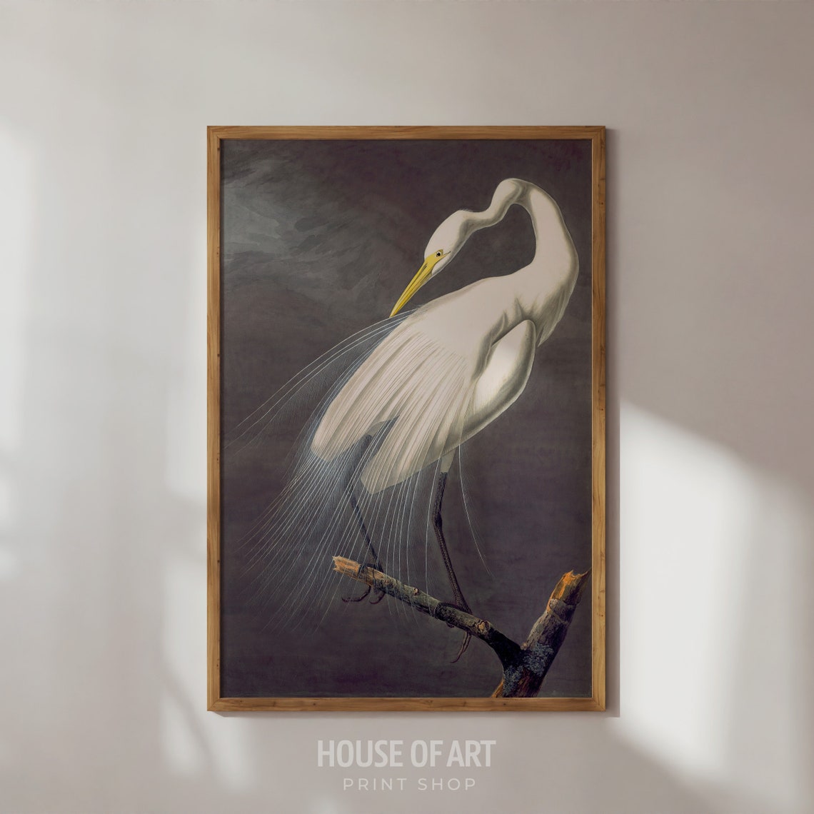 Audubon Great White Heron Vintage Bird Illustration Art Print