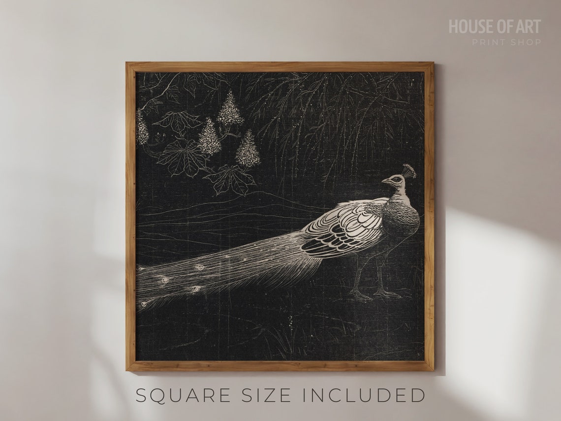 Peacock Night Garden Black White Woodcut Lithograph Bird Poster - Image 2