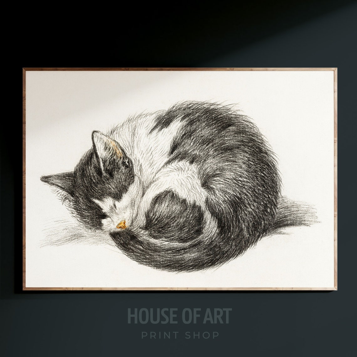 Sleeping Tabby Cat Curled Up Vintage Charcoal Sketch Wall Art Poster - Image 3