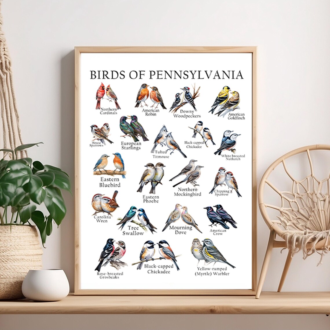 Birds of Pennsylvania Illustrated Species Chart Watercolor Poster