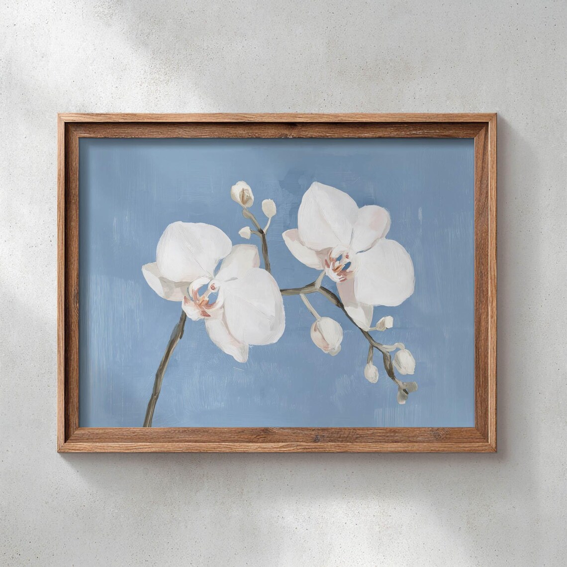 White Orchid Blossoms Dusty Blue Background Modern Botanical Art Poster