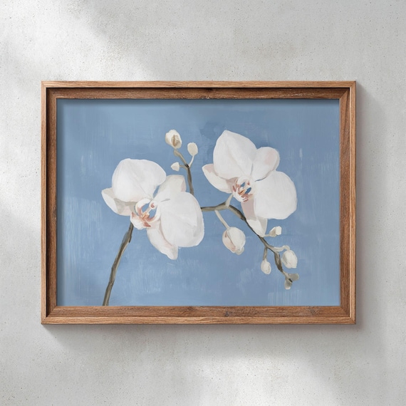 Printed White Orchid Botanical Art Dusty Blue Background Romantic Coastal Summer Decor Modern Floral Wall Poster P650