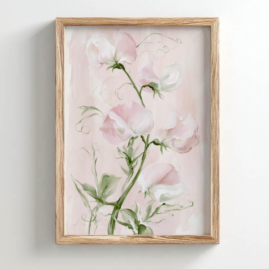 Soft Pink Sweet Pea Flowers Watercolor Floral Blush Botanical Poster